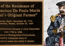 200 Years of Coffee History