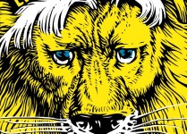 LION is on Facebook