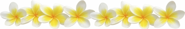 hawaiian flowers hawaiian flowers