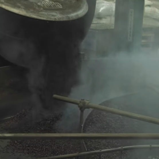 Tour Lion Coffee with Us (video)